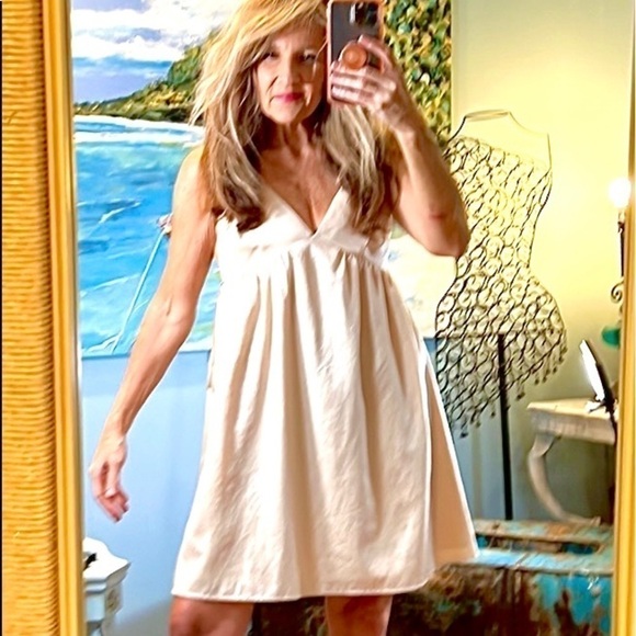 Anthropologie Harlyn Nude Satin Babydoll A-Line Mini Dress Large Size L - Picture 2 of 11